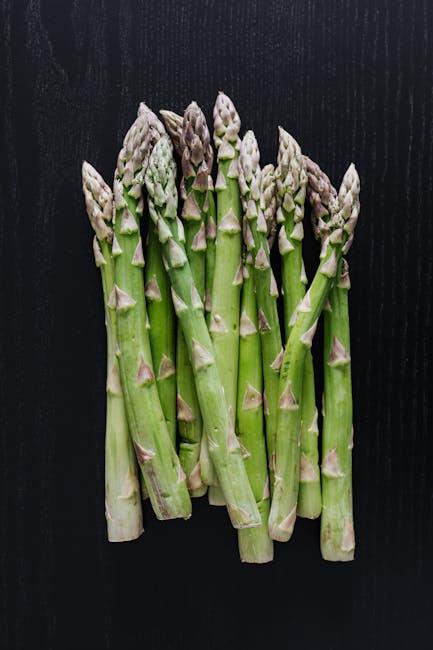 Asparagus Hijau Bambu Apus