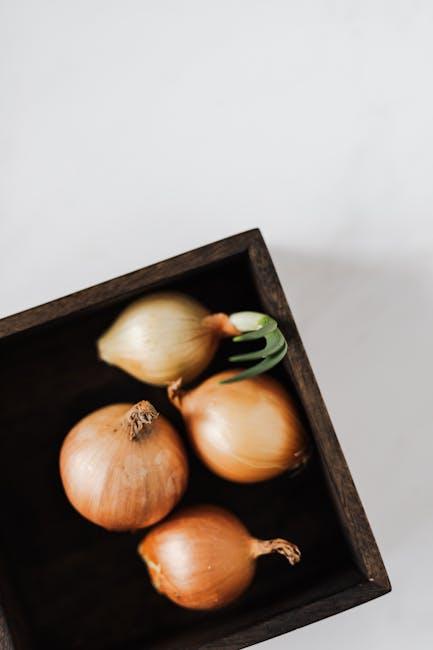 Bawang Bombay Cengkareng