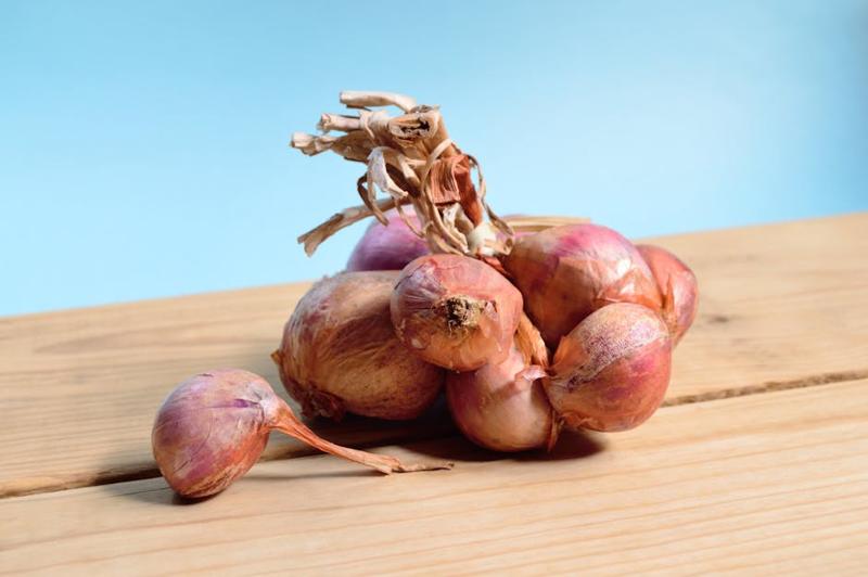 Bawang Merah Brebes Bambu Apus