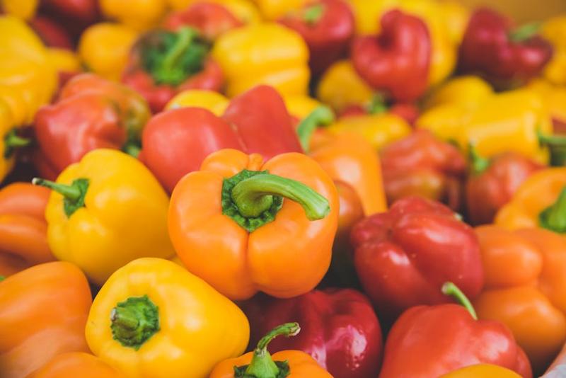 Paprika Merah Bambu Apus